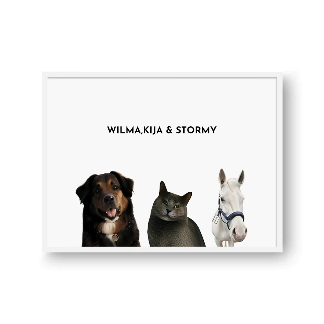 Classic Pet Portrait